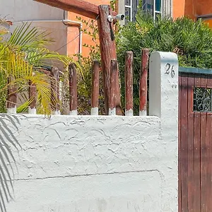 Pecari 26 Cancun